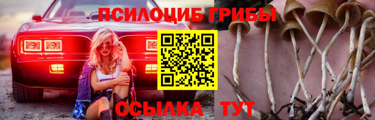 Псилоцибиновые грибы мицелий Осинники