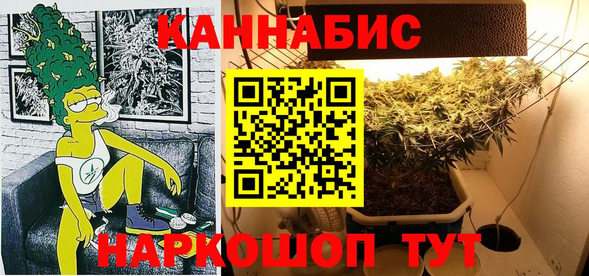 Осинники  Шишки марихуана тримм  Канабис Bruce Banner  Вход с VPN  Марихуана Amnesia  Каннабис конопля 